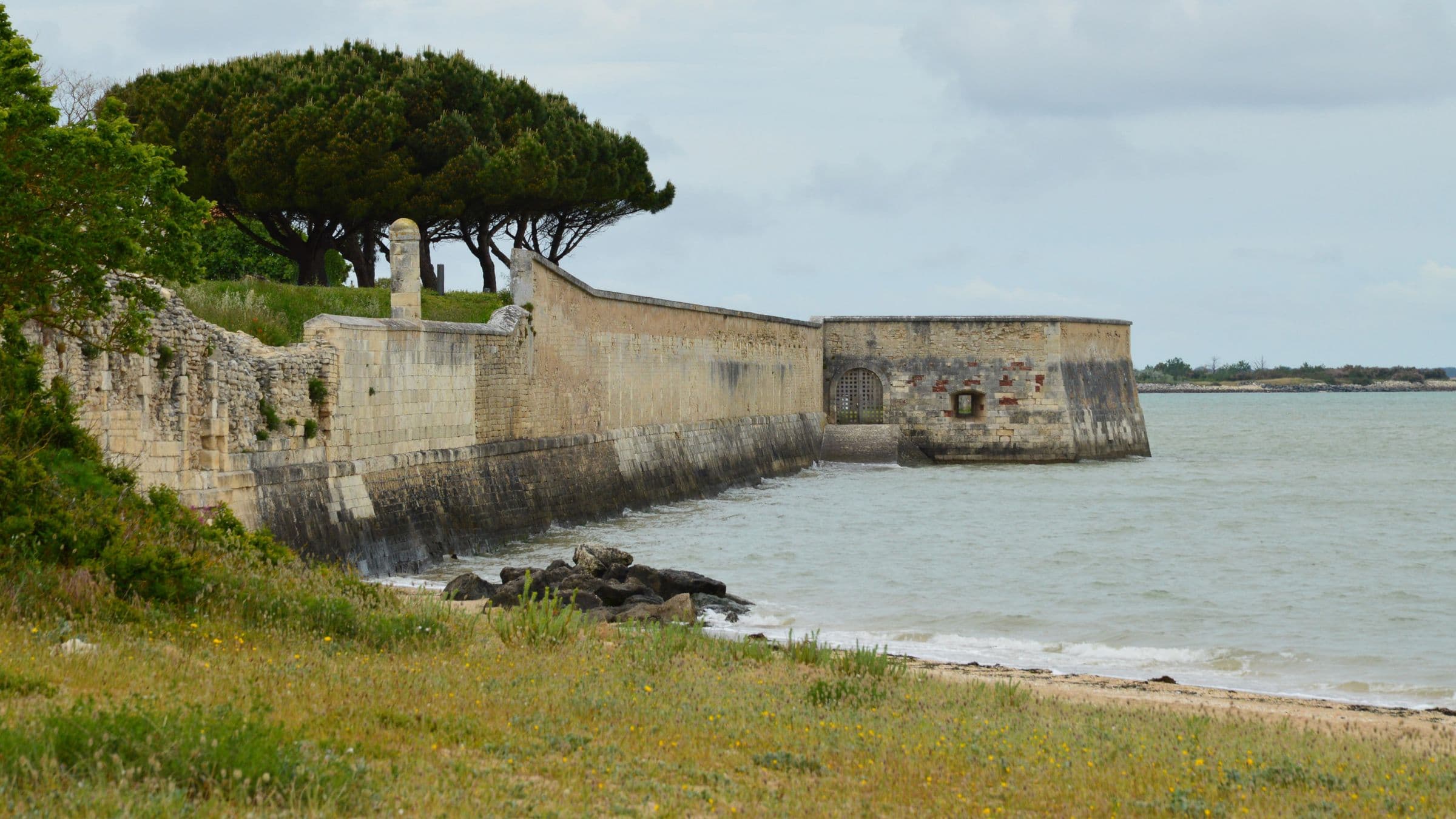 Remparts Vauban de Saint-Martin-de-Re face a la mer, bordes de pins